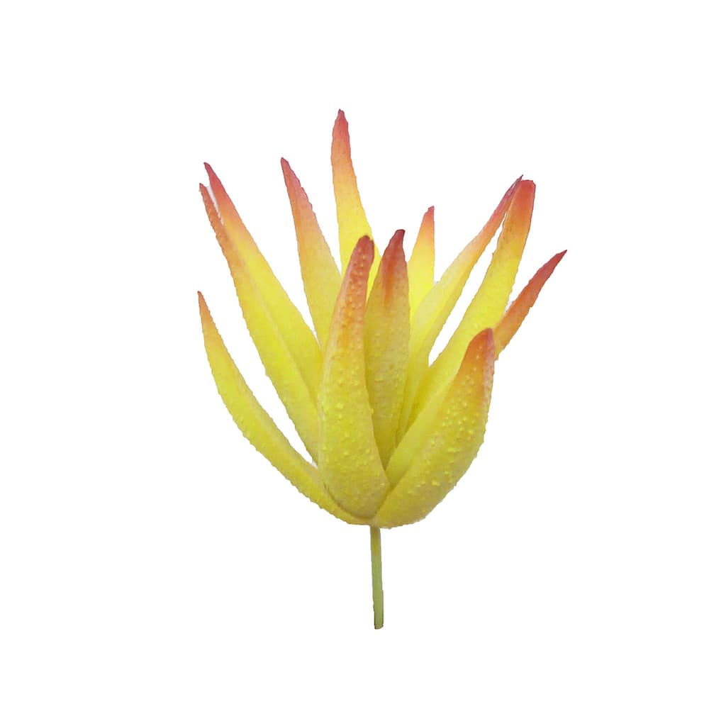 Set of 6 Pcs Yellow Burgundy Artificial Aloe Vera Succulent Stem Plant Greenery Pick Spray Branch 5in - 5" H x 2" D
