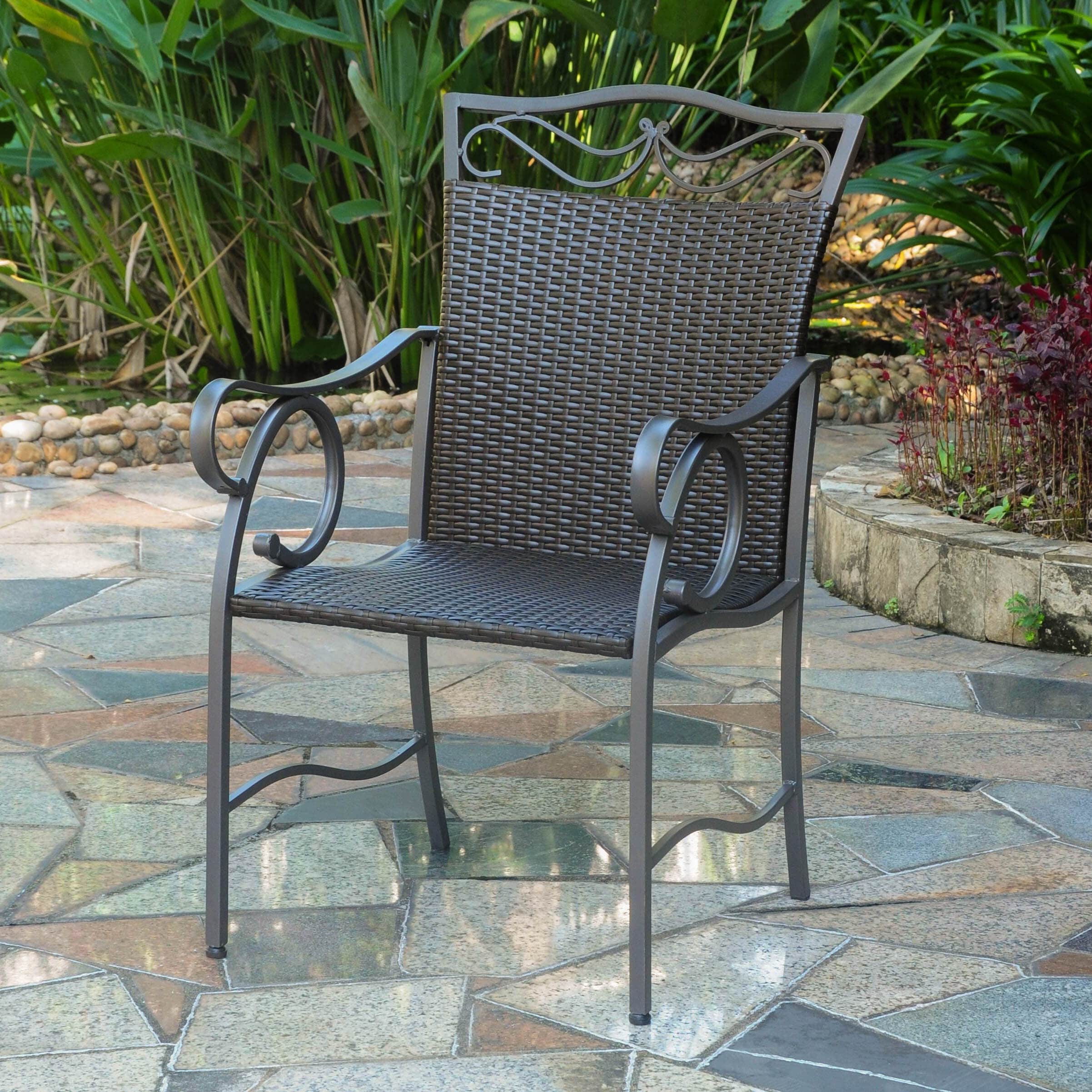 Valencia Resin Wicker/ Steel Dining Chairs (Set of 2)-image