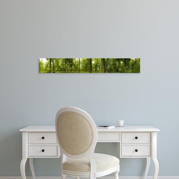 Easy Art Prints Panoramic Images's 'Spring in Thetford Forest, Norfolk, England' Premium Canvas Art