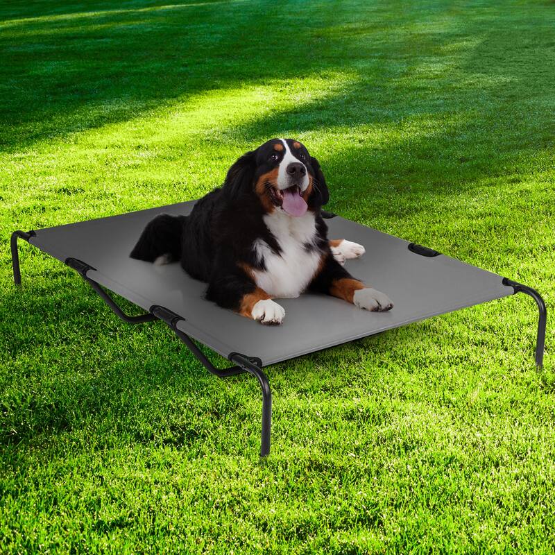 Large Elevated Dog Bed with Powder Coated Steel Frame Suitable for Large Dogs - 60"D x 37"W x 9"H
