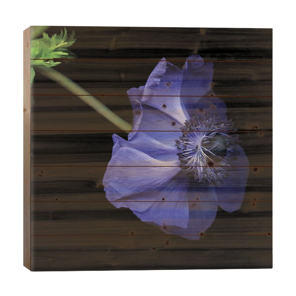 Moody Blue Print On Wood by Magda Indigo - Multi-Color