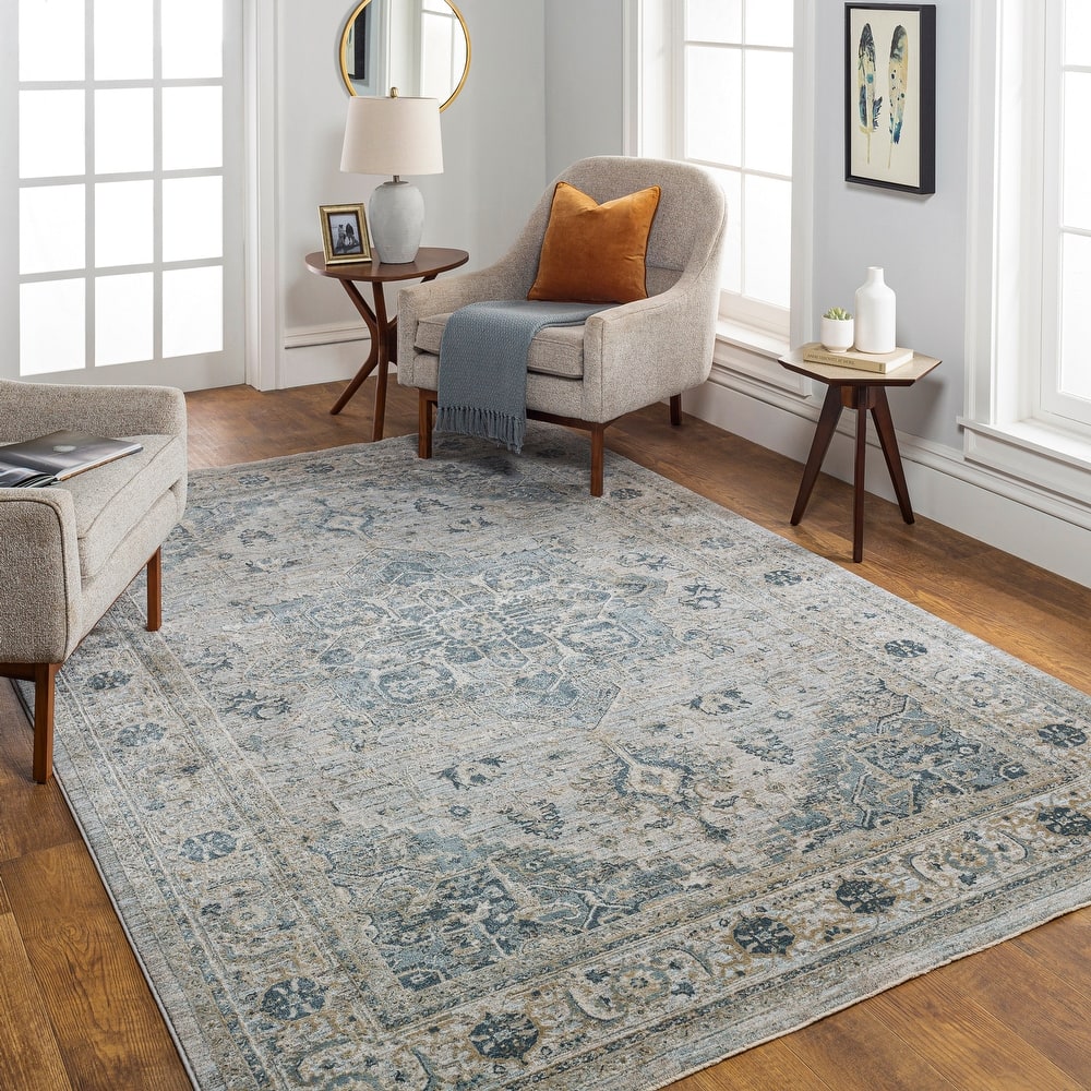Artistic Weavers Ryla Vintage Distressed Area Rug