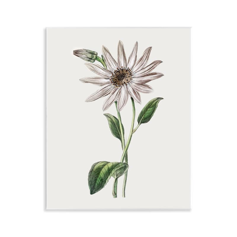 Stupell Vintage Mum Sprig Wall Plaque Art Design By CAD Designs - 11 x 14
