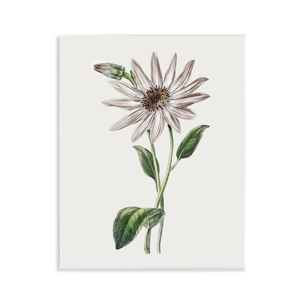 Stupell Vintage Mum Sprig Wall Plaque Art Design By CAD Designs