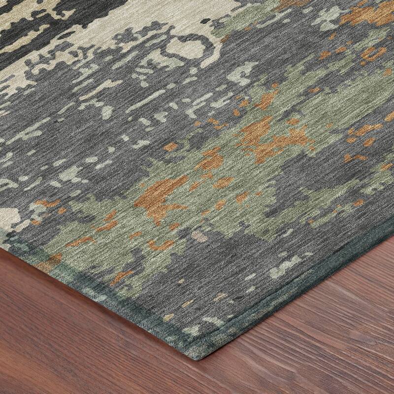 Machine Washable Indoor/ Outdoor Modern Buena Chantille Rug