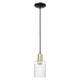 Option Clear / Black Antique Brass