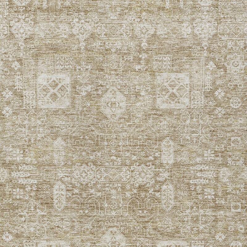 HomeRoots Oriental Transitional Rectangle Outdoor Rug