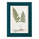 preview thumbnail 12 of 138, Nature Printed Ferns IX -Framed Print w/glass-Cherry Red 4x6 - Blue