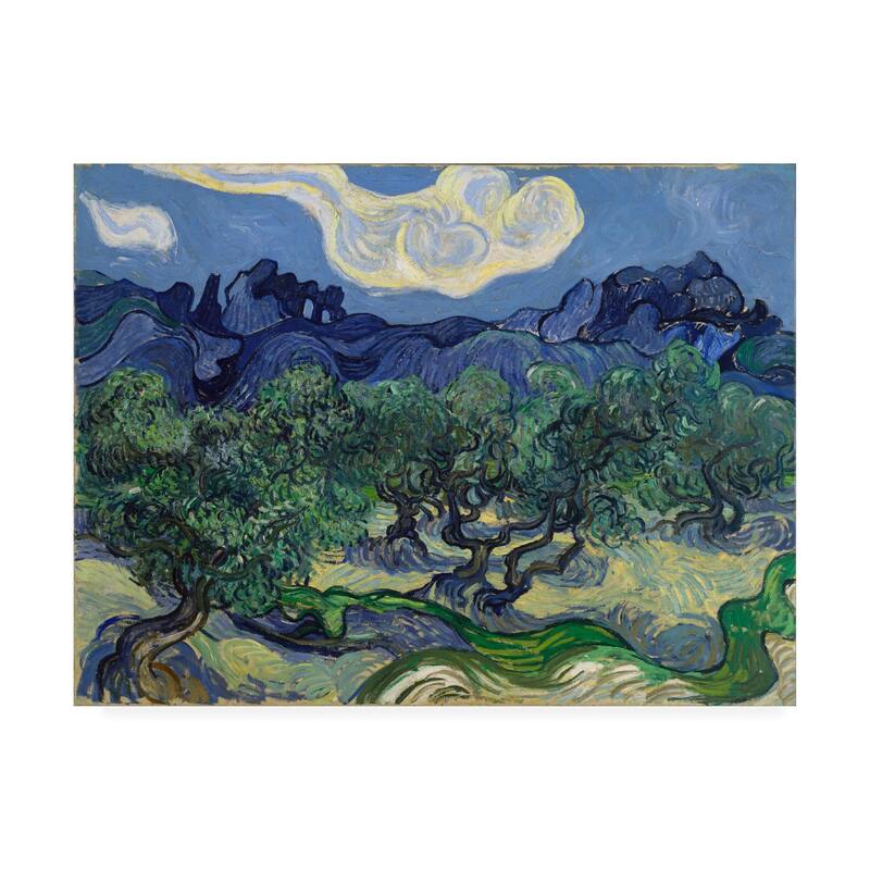 Vincent Van Gogh 'The Olive Trees' Canvas Art