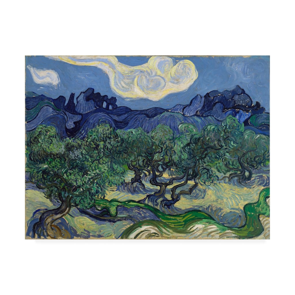 Vincent Van Gogh 'The Olive Trees' Canvas Art