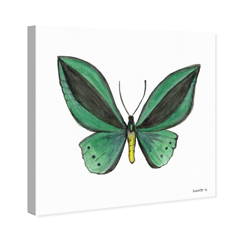 Wynwood Studio Canvas Animals Green Butterfly Green and Emerald Tropical Wall Art Canvas Print