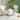 SAFAVIEH Lisbeth French Bistro Stacking Grey/ White Side Chair (Set of 2)