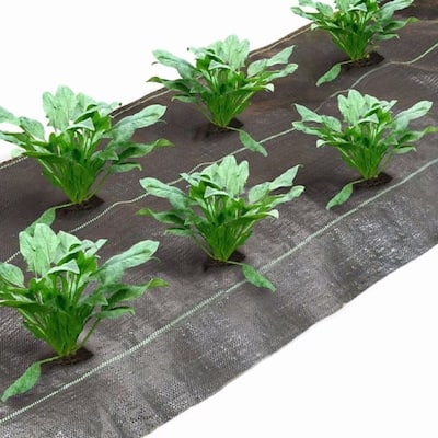Agfabric weed barrier with6",2rows planting hole,4'x12' - 4'x12'