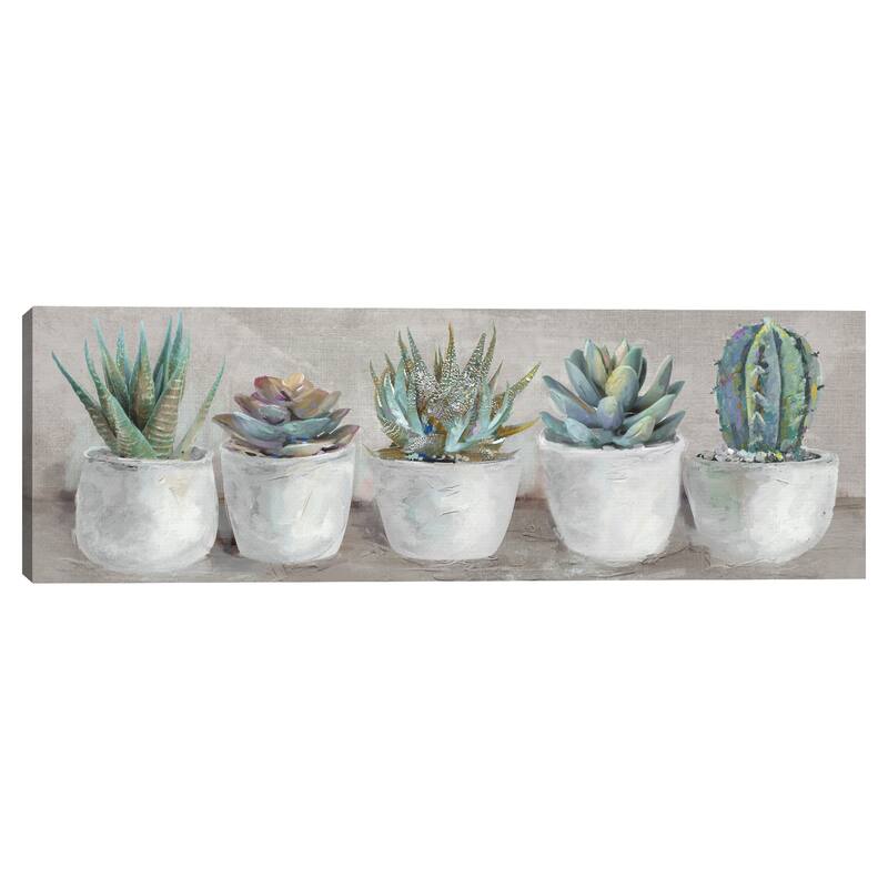 Potted Gems by Studio Arts Canvas Art Print