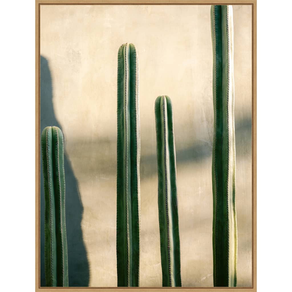 Oaxaca Shades of Green by Raisa Zwart Framed Canvas Wall Art Print - Sylvie Natural