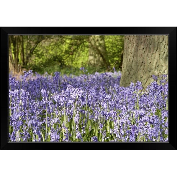 "Lavender field" Black Framed Print