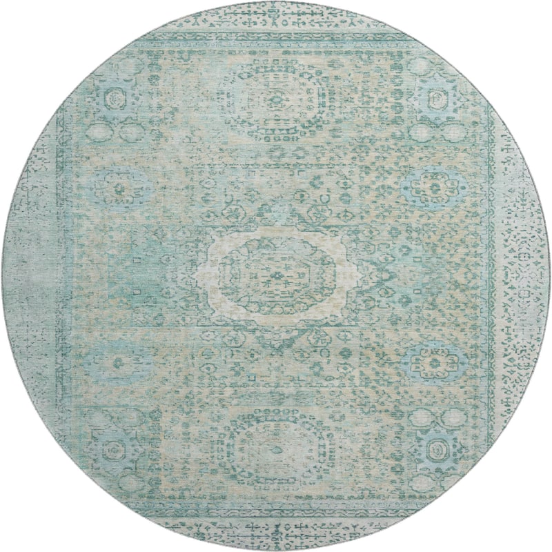 Premium Washable Super Soft Vintage Traditional Mayfield Rug