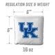preview thumbnail 2 of 3, Kentucky Wildcats NCAA Dual Sided Pro Stop & Slide Cornhole Bags