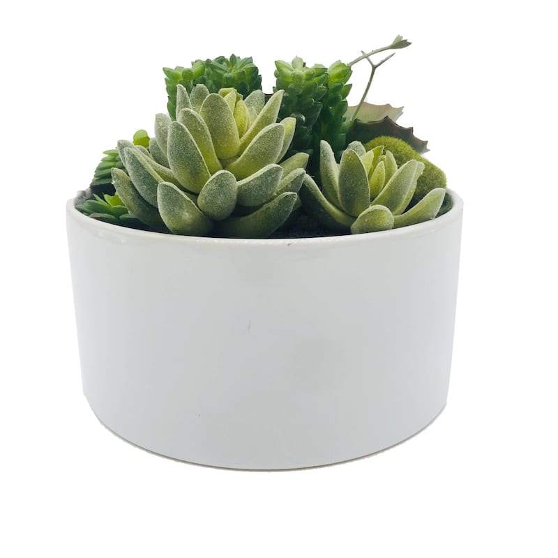 HomeRoots 7" Green Artificial Succulent In A Round White Porcelain Planter - 6.70 in. x 6.30 in. x 6.70 in.