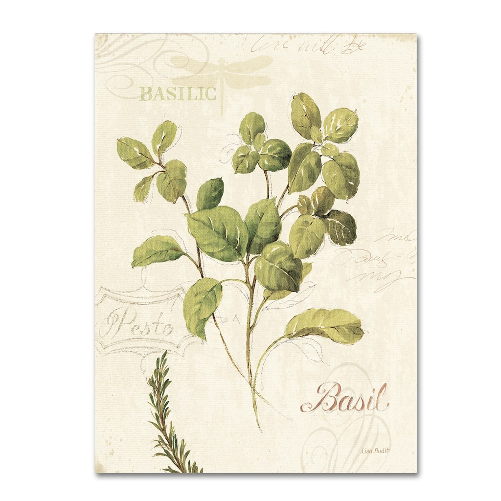 Lisa Audit 'Aromantique III' Canvas Art