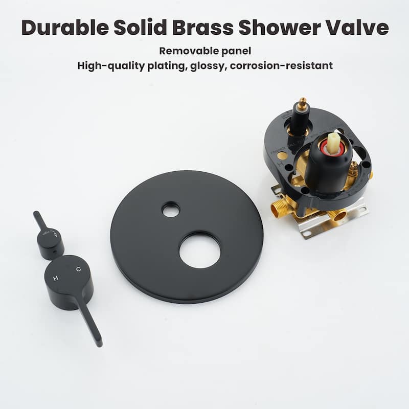 2-Spray 10-in Wall Mounted Fixed and Handheld Shower Head Set