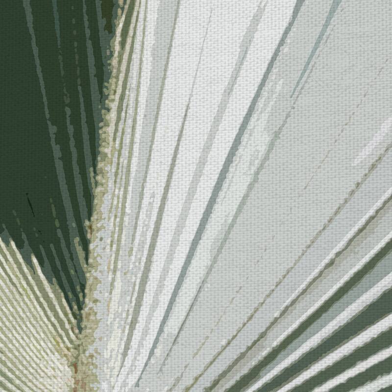 Palm Frond I Crop, II by Noah Bay Canvas Art Prints