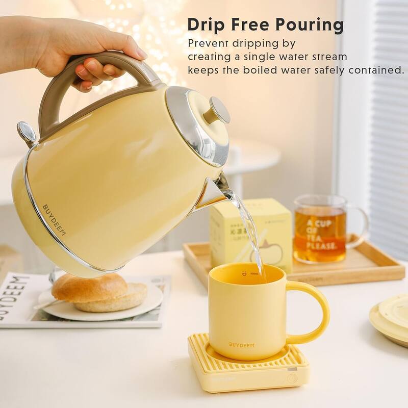 BUYDEEM 1.7L Stainless Steel Electric Tea Kettle with Auto Shut-Off and Boil Dry Protection