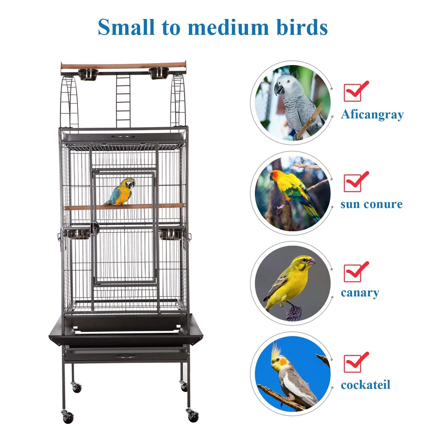 large bird cage for small birds