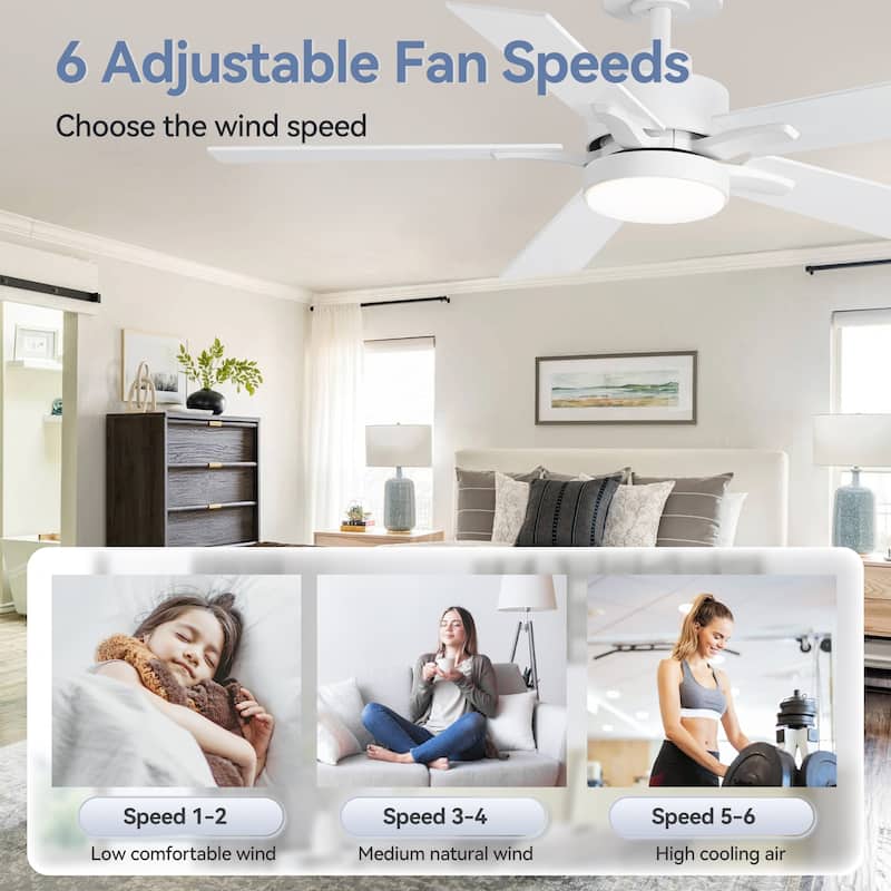 Breezary 52/42-IN LED Ceiling Fan with Light Kit and Remote-5 Blade