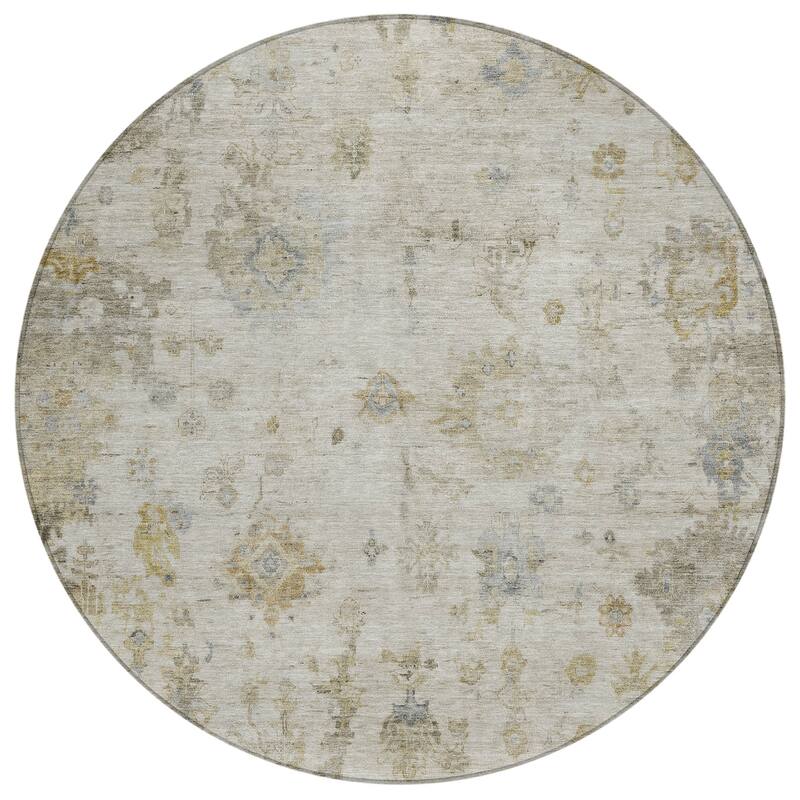 Machine Washable Indoor/ Outdoor Vintage Traditional Chantille Rug