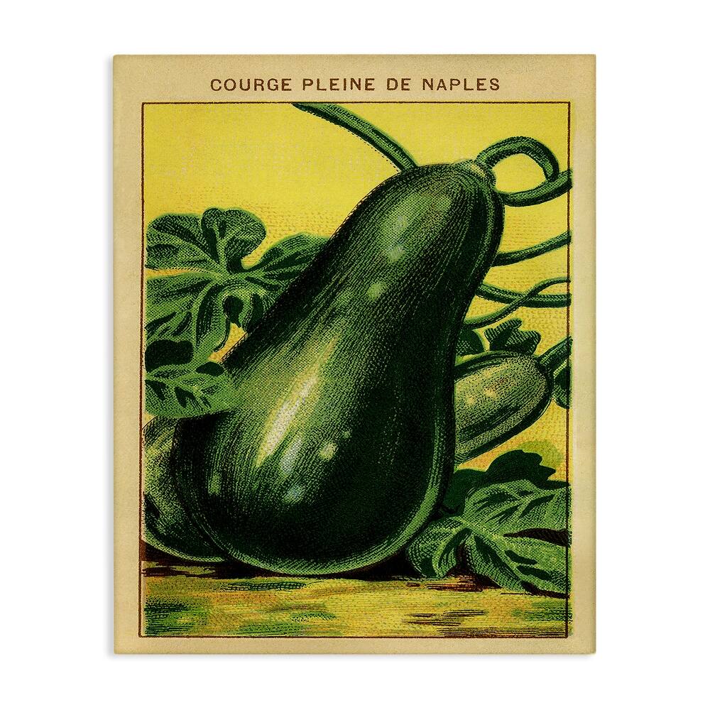 Stupell Country Vintage Squash Canvas Wall Art Design By Lil' Rue