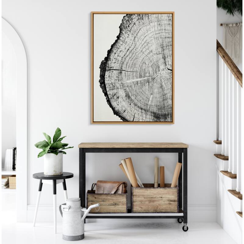 Kate and Laurel Tree Rings BW Framed Canvas by Emiko and Mark Franzen