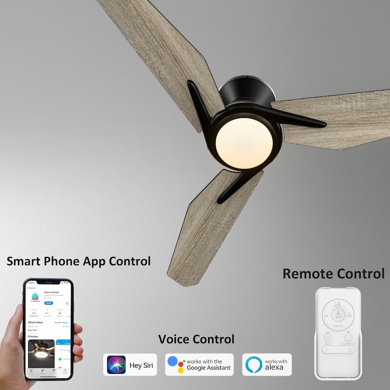 CARRO Jaiden 52" 3- Blade Smart Ceiling Fan with LED Light and Remote Control