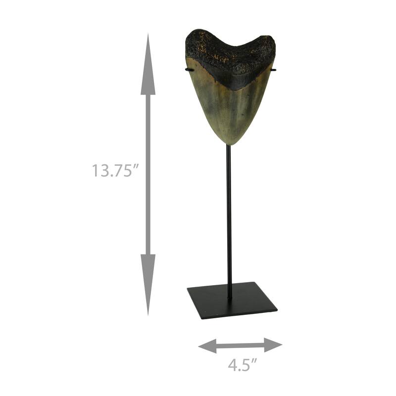 Mounted Giant Megalodon Imitation Shark Tooth Fossil Sculpture - 13.75 X 4.5 X 4 inches