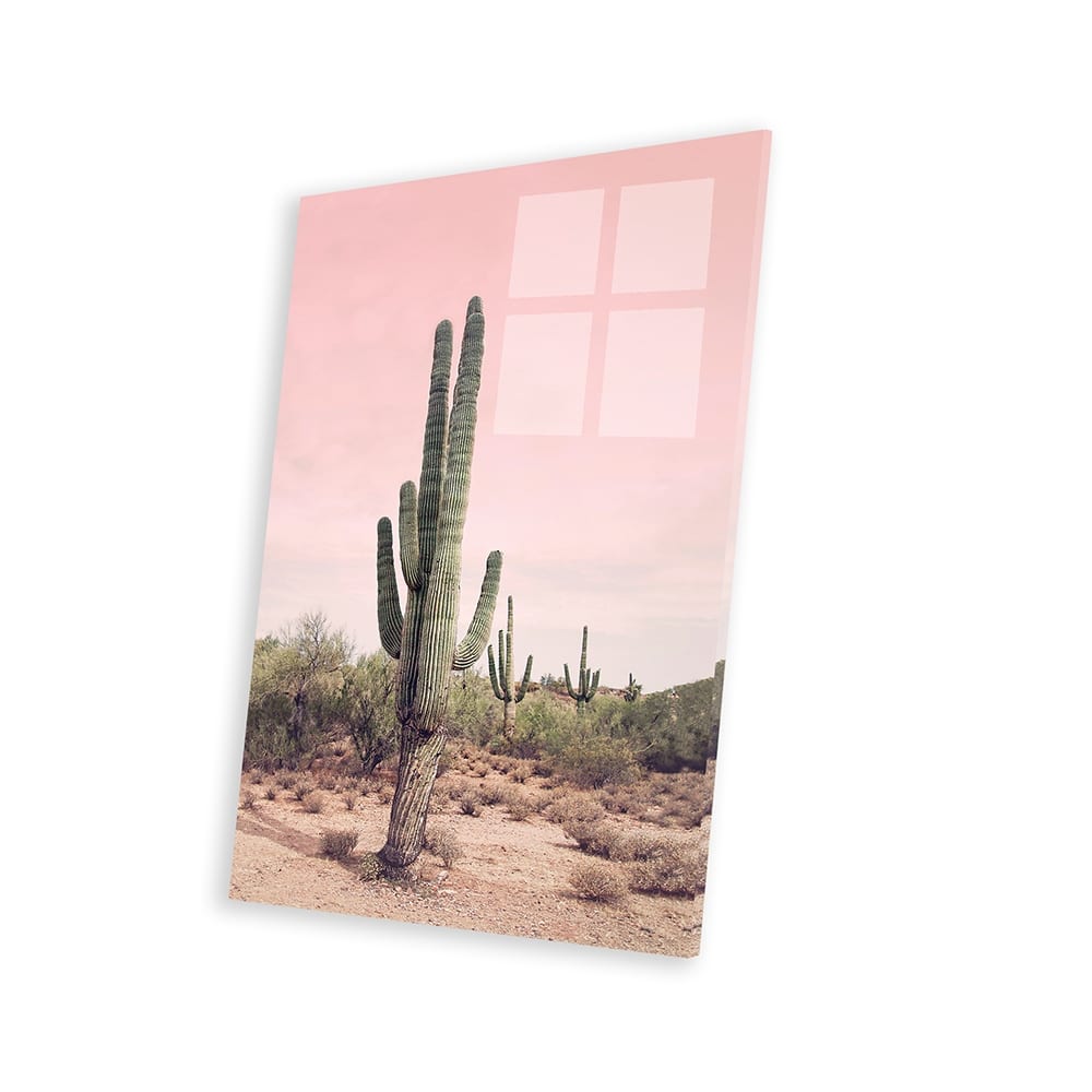 Desert Cactus Blush Print On Acrylic Glass by Sisi & Seb - Bed Bath ...