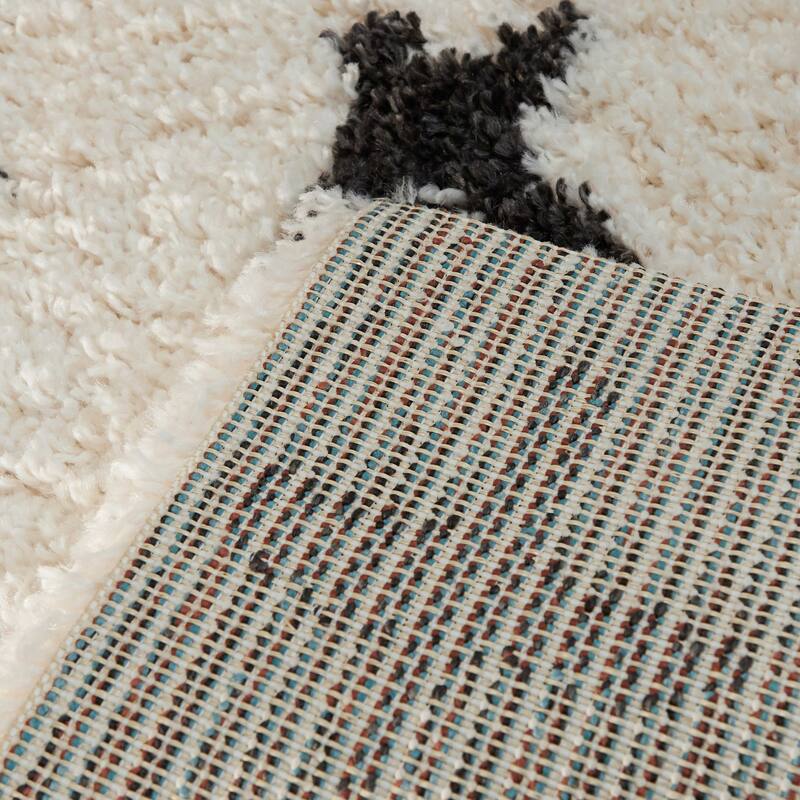 Delany Plush Plus Area Rug