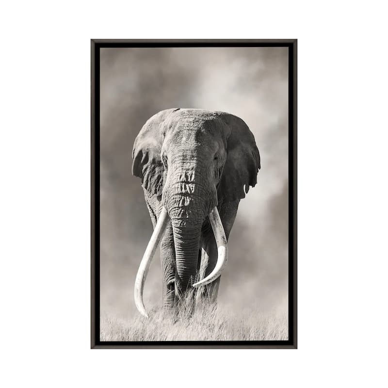 iCanvas "Giant Tusk Bull Elephant Emerges From The Dust Amboseli National Park" by Jane Rix Framed - Charcoal - 26x18