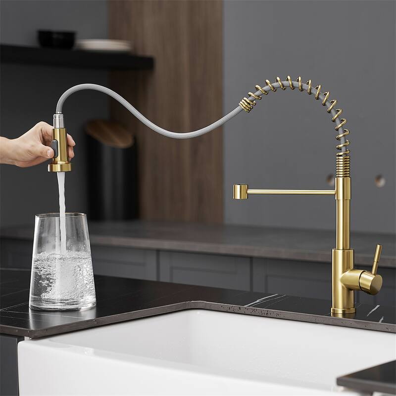 Kitchen Faucet with Pull Down Sprayer Single Handle