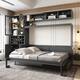 Option Gray-Full