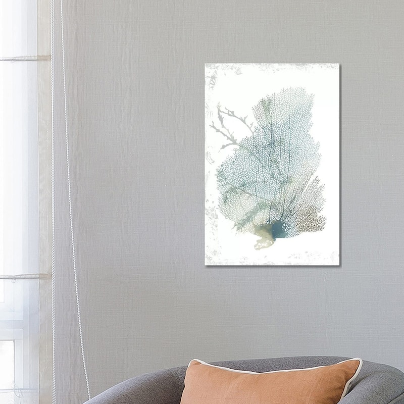 iCanvas "Teal Delicate Coral II " by Aimee Wilson Canvas Print - 26x18x1.5