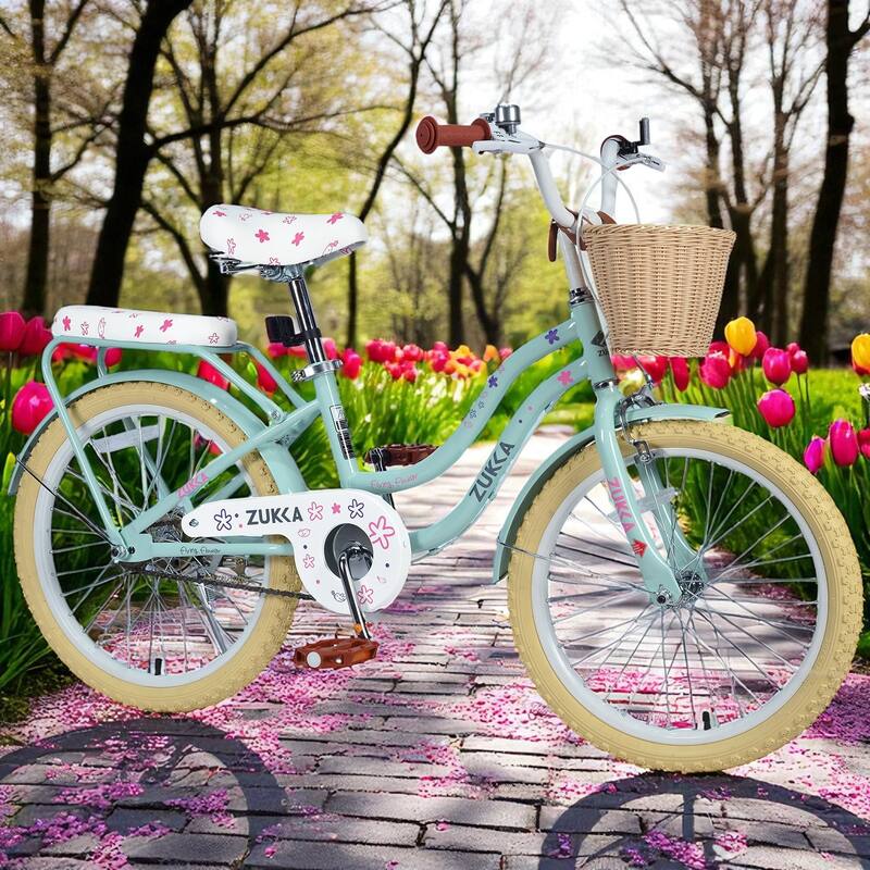Girls 20 Inch Bike with Basket, Steel Frame, Front & Rear Brakes, For Kids Ages 7-10, No Training Wheels - Green