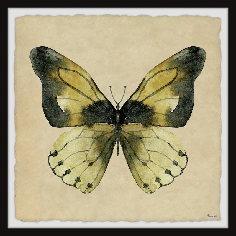 The Tropical Butterfly Framed Print