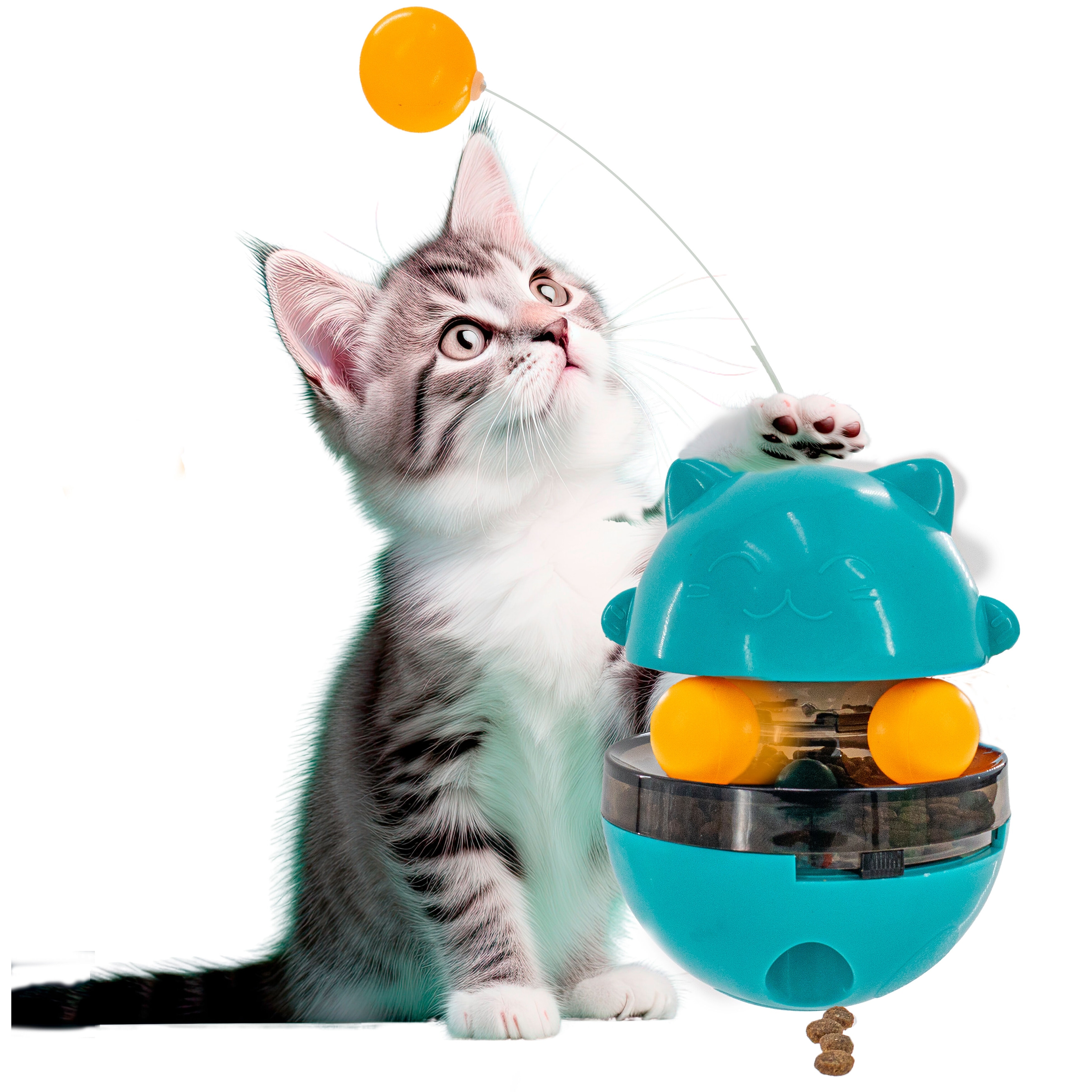 Cat snack toy shop