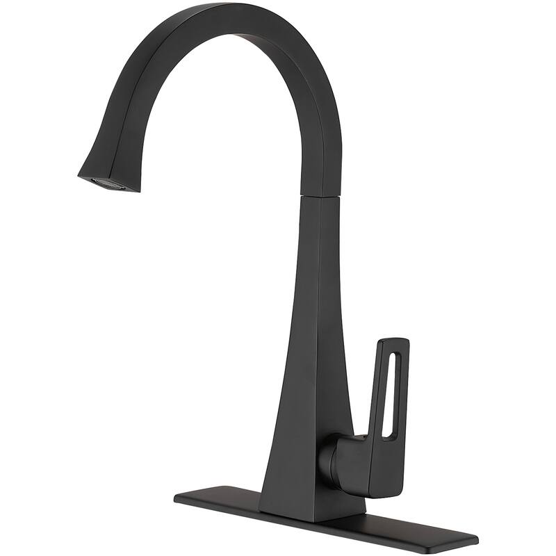 WIZ Single Handle Standard Kitchen Faucet - Black