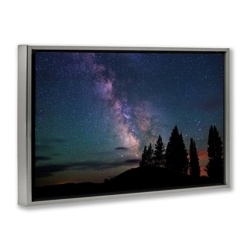 Stupell Silhouetted Forest & Night Sky Framed Floater Canvas Wall Art Design By Royce Bair
