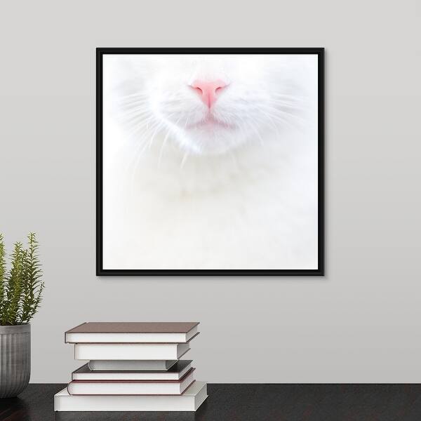Shop White Kitty Cat With Pink Nose Us Black Float Frame Canvas Art Overstock 25520291
