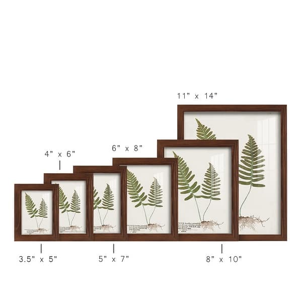 dimension image slide 15 of 21, Nature Printed Ferns IX -Framed Print w/glass-Cherry Red