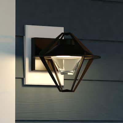 Jackson Steel 1 Light Integrated LED Black Contemporary Outdoor Wall Lantern Clear Glass - 9.5-in W x 8.25-in H x 10.5-in D