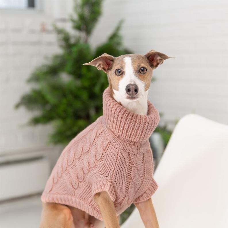 Bed bath and beyond dog sweaters deals