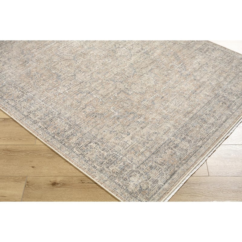 Galey Alix x Livabliss Maria Elena III Vintage Medallion Area Rug